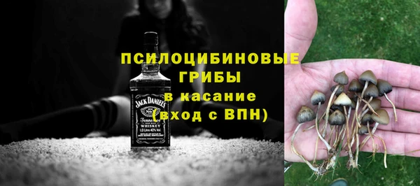гашик Покров