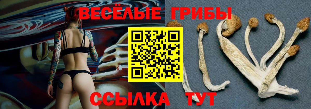 Псилоцибиновые грибы GOLDEN TEACHER  где можно купить наркотик  Прокопьевск  Галлюциногенные грибы ЛСД  Вход с VPN 