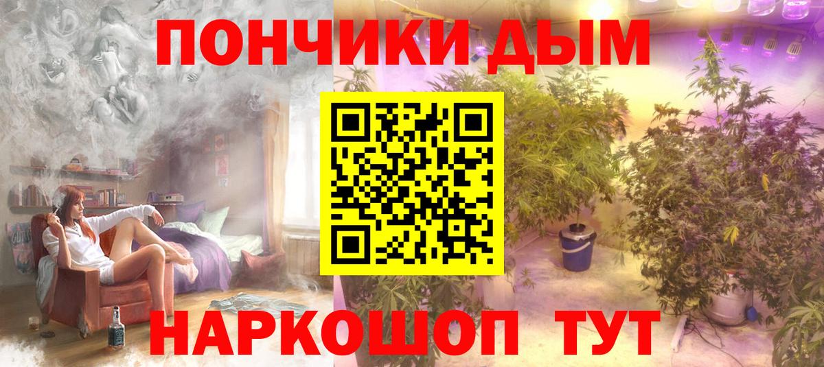 Канабис планчик Прокопьевск