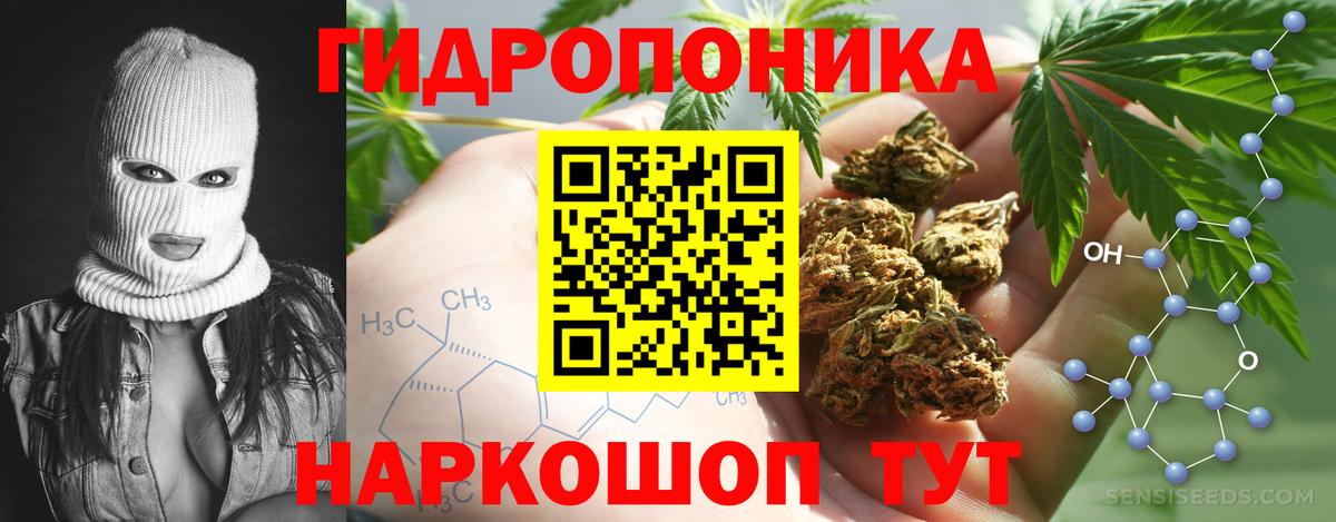 Каннабис White Widow  Бошки марихуана планчик  Прокопьевск  Вход с VPN 
